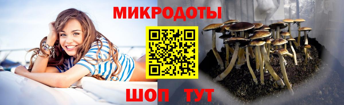 Галлюциногенные грибы GOLDEN TEACHER  Вход с VPN  Псилоцибиновые грибы мицелий  Назарово 